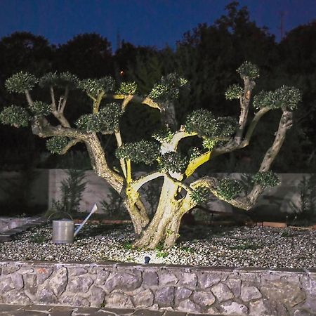 *****Pool House With Beautiful Seaview,Big Garden And Old Tavern***** Рієка Екстер'єр фото